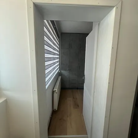 The Family Paradise *